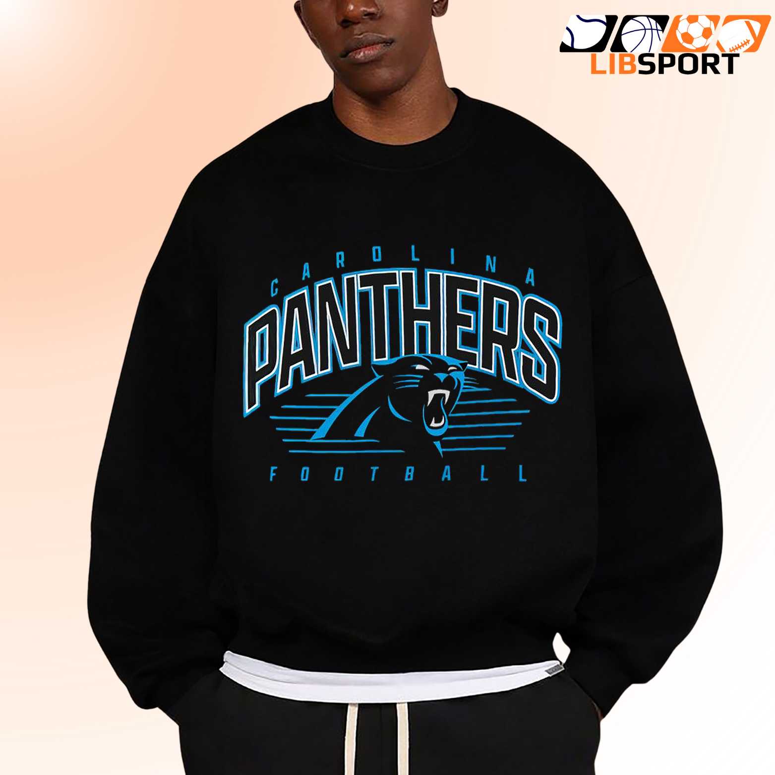 Carolina Panthers T Shirt, Unisex Streetwear Tee, Nfl Fan Shirt